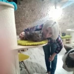 opieka zwierząt - zdjęcie profilowe użytkownika Katarzyna B.