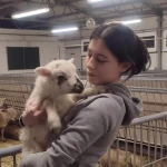 opieka zwierząt - zdjęcie profilowe użytkownika Nina P.