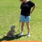 opieka zwierząt - zdjęcie profilowe użytkownika Alicja T.