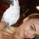 opieka zwierząt - zdjęcie profilowe użytkownika Eliza K.