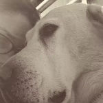 opieka zwierząt - zdjęcie profilowe użytkownika Katarzyna M.