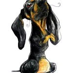 opieka zwierząt - zdjęcie profilowe użytkownika Marta B.