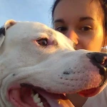 opieka zwierząt - zdjęcie profilowe użytkownika Agata L.