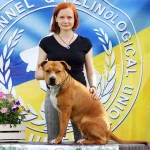 opieka zwierząt - zdjęcie profilowe użytkownika Nataliia B.