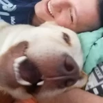 opieka zwierząt - zdjęcie profilowe użytkownika Karolina K.