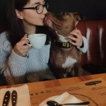 opieka zwierząt - zdjęcie profilowe użytkownika Katarzyna K.