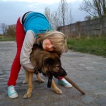 opieka zwierząt - zdjęcie profilowe użytkownika Ewelina M.