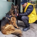 opieka zwierząt - zdjęcie profilowe użytkownika Michał S.