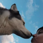 opieka zwierząt - zdjęcie profilowe użytkownika Basia G.