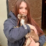 opieka zwierząt - zdjęcie profilowe użytkownika Dominika W.