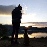opieka zwierząt - zdjęcie profilowe użytkownika Kamila K.