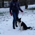 Opieka nad zwierzętami