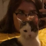 opieka zwierząt - zdjęcie profilowe użytkownika Nikola D.