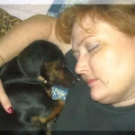 opieka zwierząt - zdjęcie profilowe użytkownika Monika B.