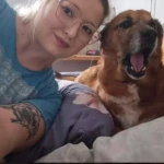 opieka zwierząt - zdjęcie profilowe użytkownika Alicja K.