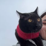 opieka zwierząt - zdjęcie profilowe użytkownika Wiktoria D.