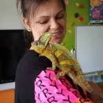 opieka zwierząt - zdjęcie profilowe użytkownika Małgorzata B.