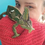 opieka zwierząt - zdjęcie profilowe użytkownika Marta G.