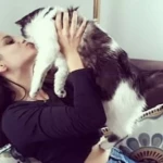 opieka zwierząt - zdjęcie profilowe użytkownika Weronika W.