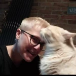 opieka zwierząt - zdjęcie profilowe użytkownika Karolina W.