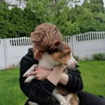 opieka zwierząt - zdjęcie profilowe użytkownika Marcel W.