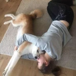 opieka zwierząt - zdjęcie profilowe użytkownika Sandra I.