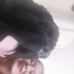 opieka zwierząt - zdjęcie profilowe użytkownika Amanda G.