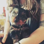 opieka zwierząt - zdjęcie profilowe użytkownika Kamila L.