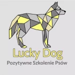 opieka zwierząt - zdjęcie profilowe użytkownika Monika G.