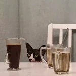 opieka zwierząt - zdjęcie profilowe użytkownika Kseniya S.