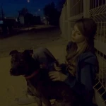 opieka zwierząt - zdjęcie profilowe użytkownika Ewelina C.