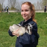 opieka zwierząt - zdjęcie profilowe użytkownika Justyna G.