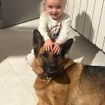 opieka zwierząt - zdjęcie ogłoszenia Opiekun zwierząt poszukiwany