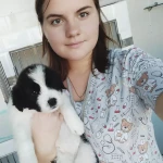 opieka zwierząt - zdjęcie profilowe użytkownika Vladyslava Z.