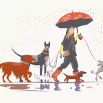 opieka zwierząt - zdjęcie profilowe użytkownika Nikola J.