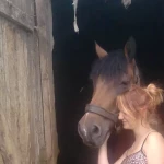 opieka zwierząt - zdjęcie profilowe użytkownika Natalia J.