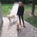 opieka zwierząt - zdjęcie profilowe użytkownika Weronika O.