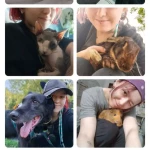 opieka zwierząt - zdjęcie profilowe użytkownika Monika B.