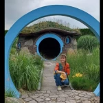 opieka zwierząt - zdjęcie profilowe użytkownika Aneta K.