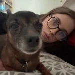opieka zwierząt - zdjęcie profilowe użytkownika Daria L.