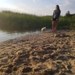 Opieka nad zwierzętami