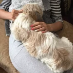 opieka zwierząt - zdjęcie profilowe użytkownika Monika B.
