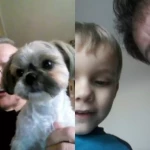 opieka zwierząt - zdjęcie profilowe użytkownika Ewa Z.
