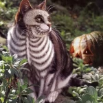opieka zwierząt - zdjęcie profilowe użytkownika Zosia K.