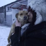 opieka zwierząt - zdjęcie profilowe użytkownika Kamila B.