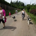 opieka zwierząt - zdjęcie profilowe użytkownika Renata B.