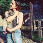 opieka zwierząt - zdjęcie profilowe użytkownika Nikoletta P.