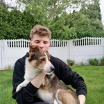 opieka zwierząt - zdjęcie profilowe użytkownika Marcel W.
