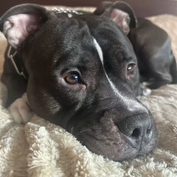 Opiekun: Ewelina Ł.