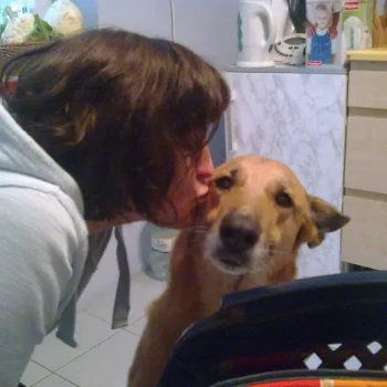 Opiekun: Weronika K.